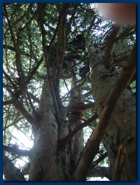 450x599 pixels (162K)